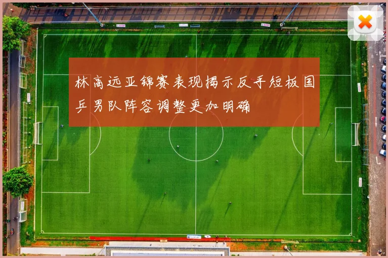 林高远亚锦赛表现揭示反手短板国乒男队阵容调整更加明确
