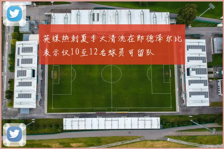 英媒热刺夏季大清洗在即德泽尔比表示仅10至12名球员可留队